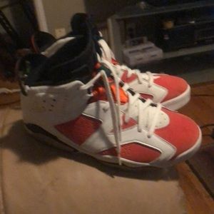 Gatorade Jordan 6